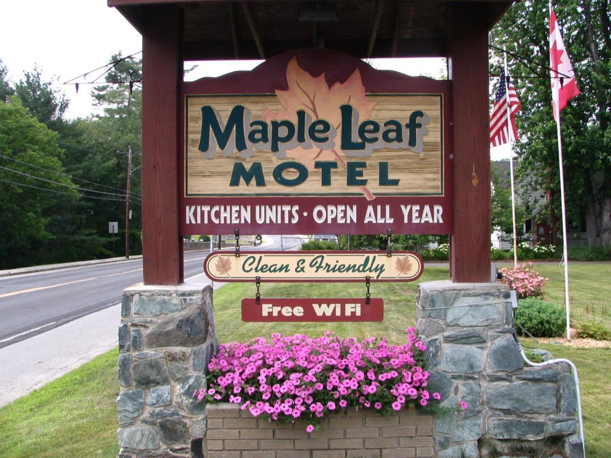 Maple Leaf Motel リトルトン エクステリア 写真